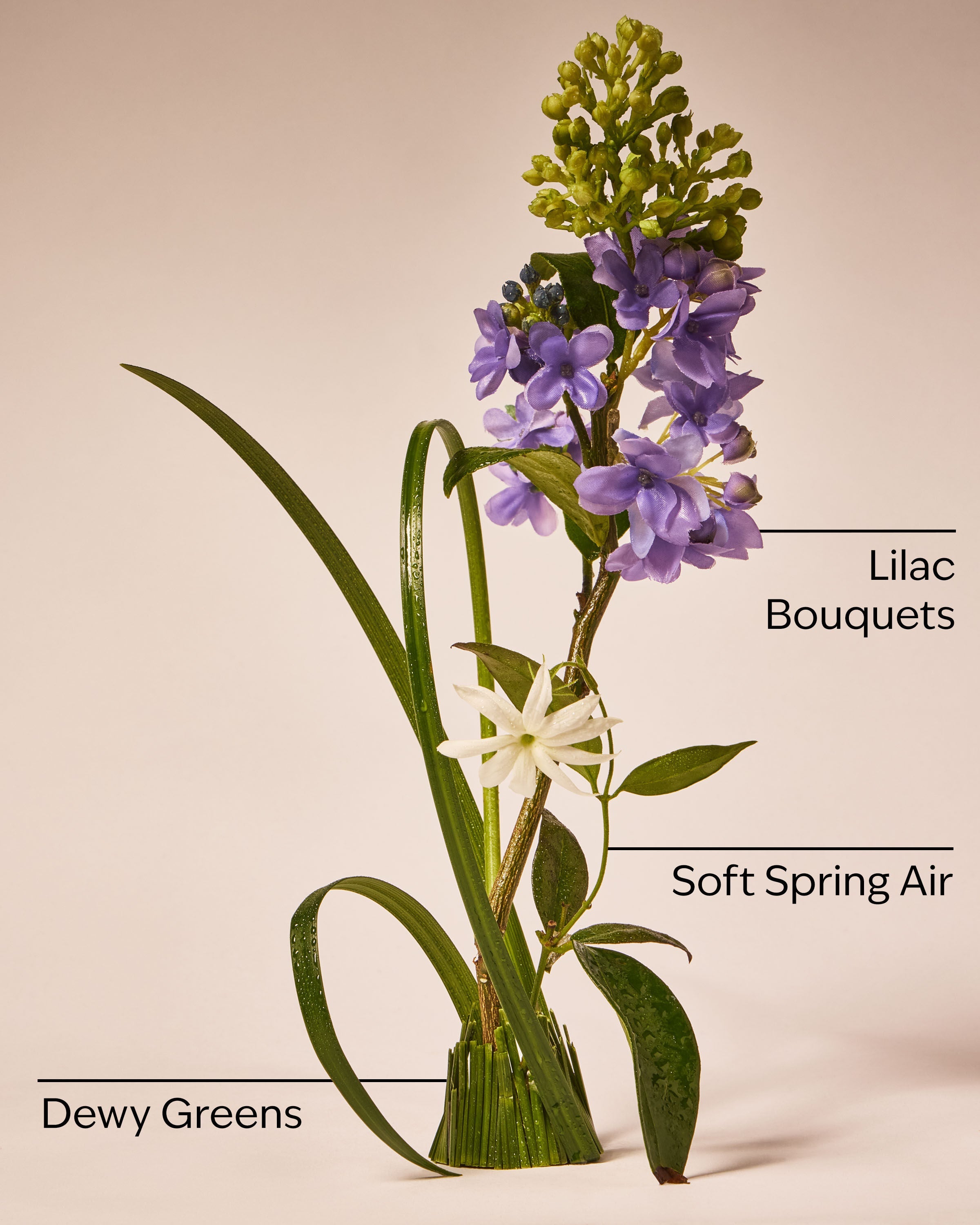 Fresh Cut Lilacs Gentle & Clean Foaming Hand Soap
